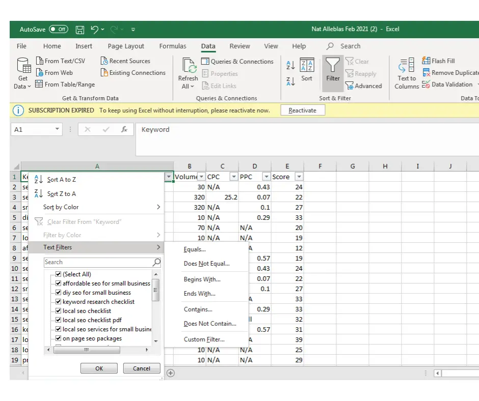 how to filter keywords using Microsoft Excel